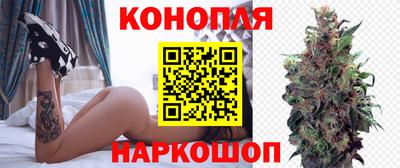 гашик Бузулук