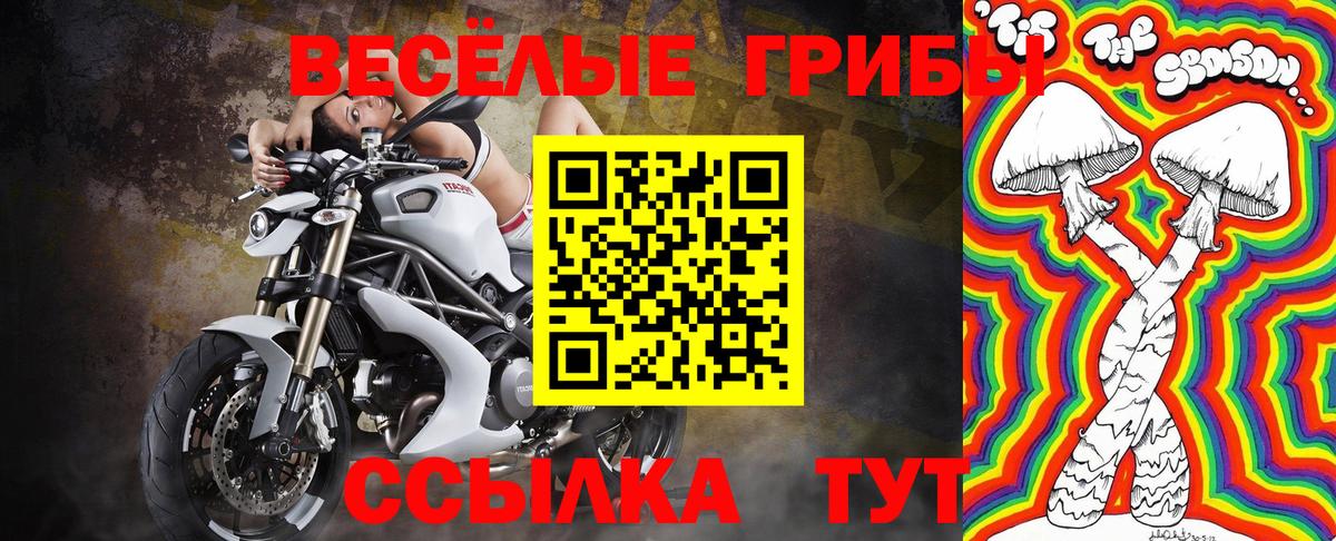 Фурманов  Псилоцибиновые грибы мухоморы  Вход с VPN  Псилоцибиновые грибы GOLDEN TEACHER 